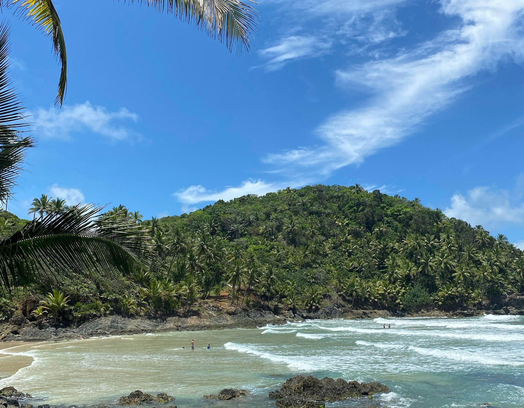Praia com coqueiro e morro coberto de mata em Itacaré