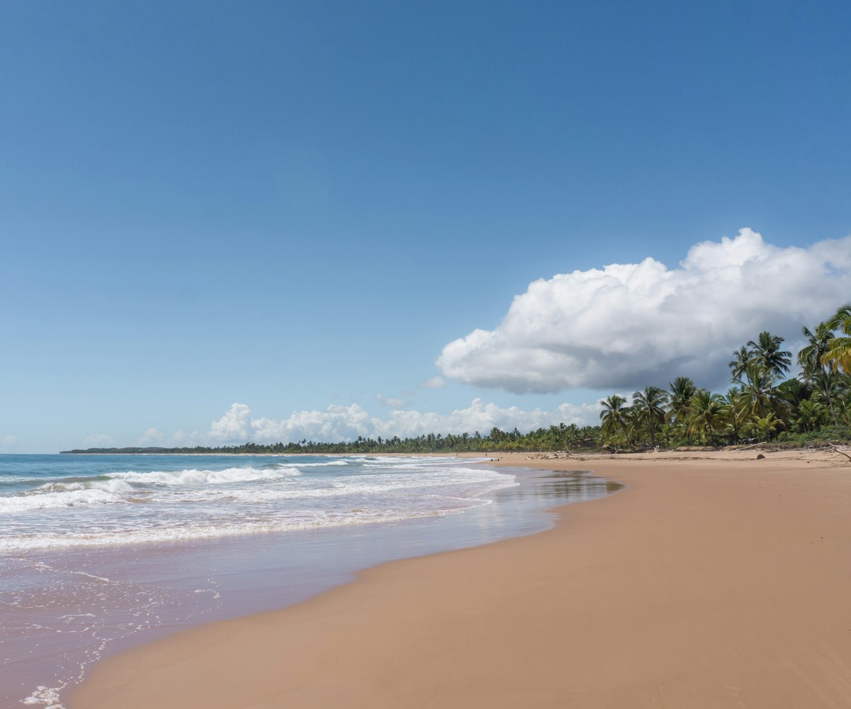 Praia de areia larga com coqueiral na Península de Maraú