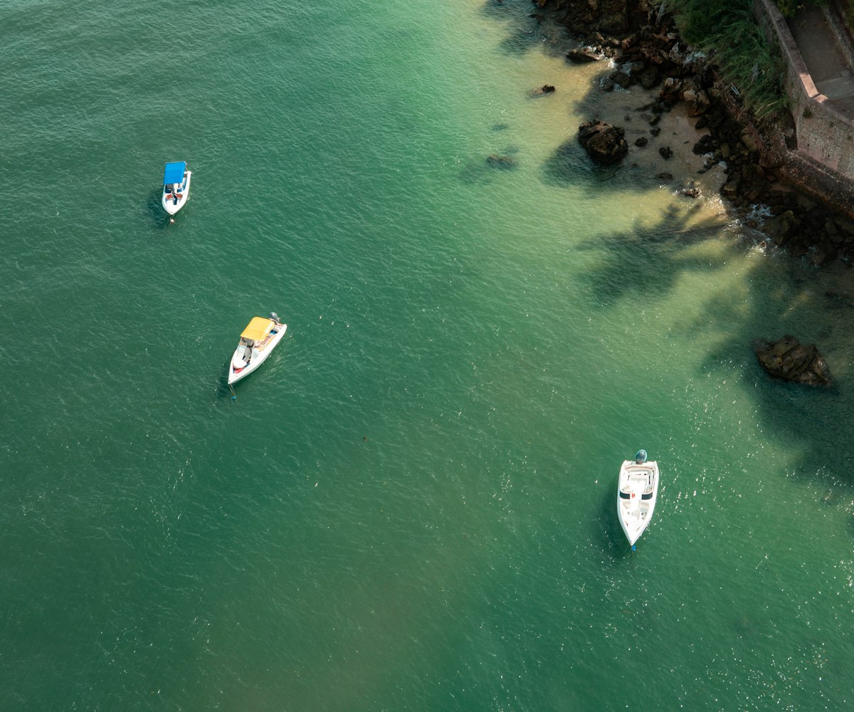Barcos navegando em baía de águas verdes cercada de mata