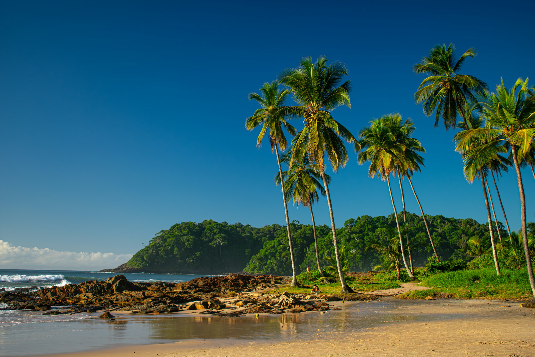 Praia de areia clara com coqueiros e morro de Mata Atlântica em Itacaré, no sul da Bahia